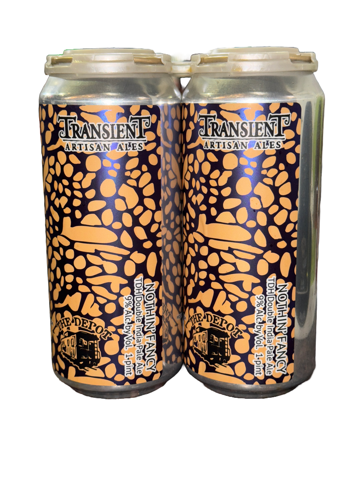 Transient Artisan Ales Nothin Fancy