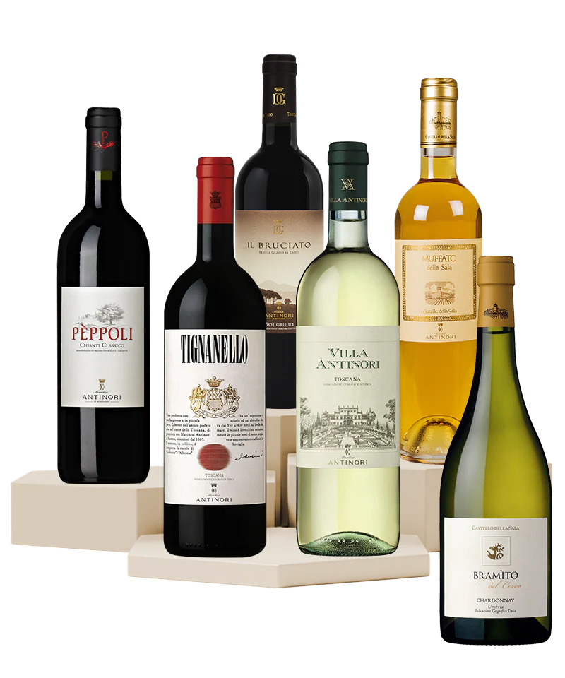 Italian Wines