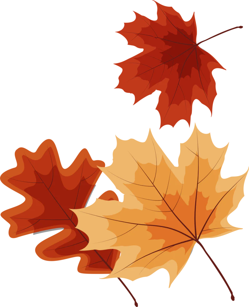 Thanksgiving Favorites