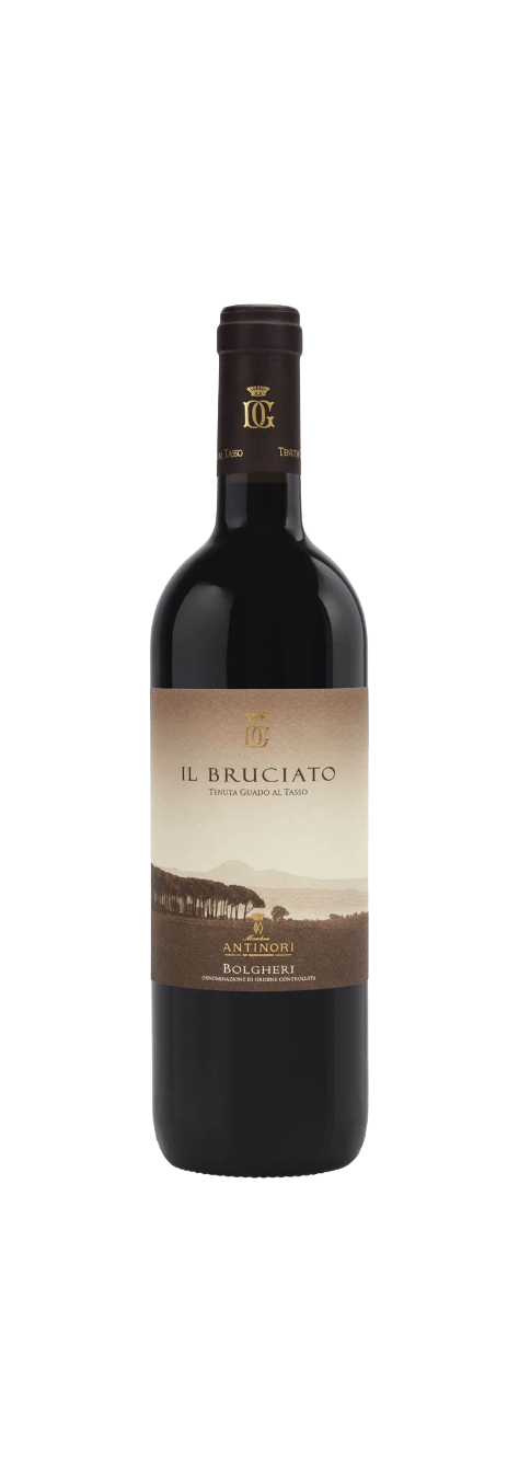 Guado al Tasso II Bruciato, Tuscany Bolgheri
