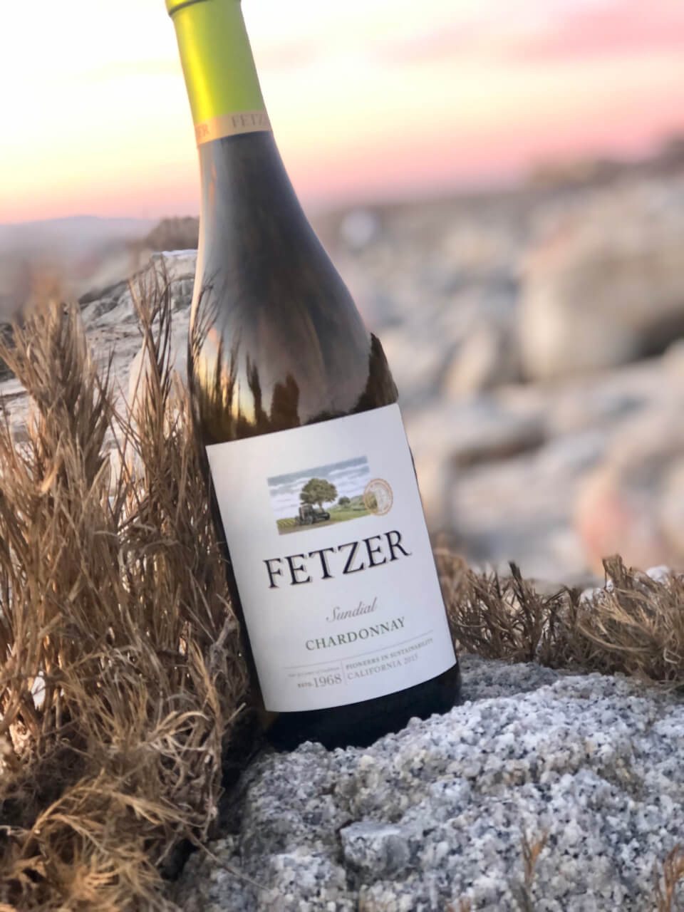 Fetzer Sundial Chardonnay Wine