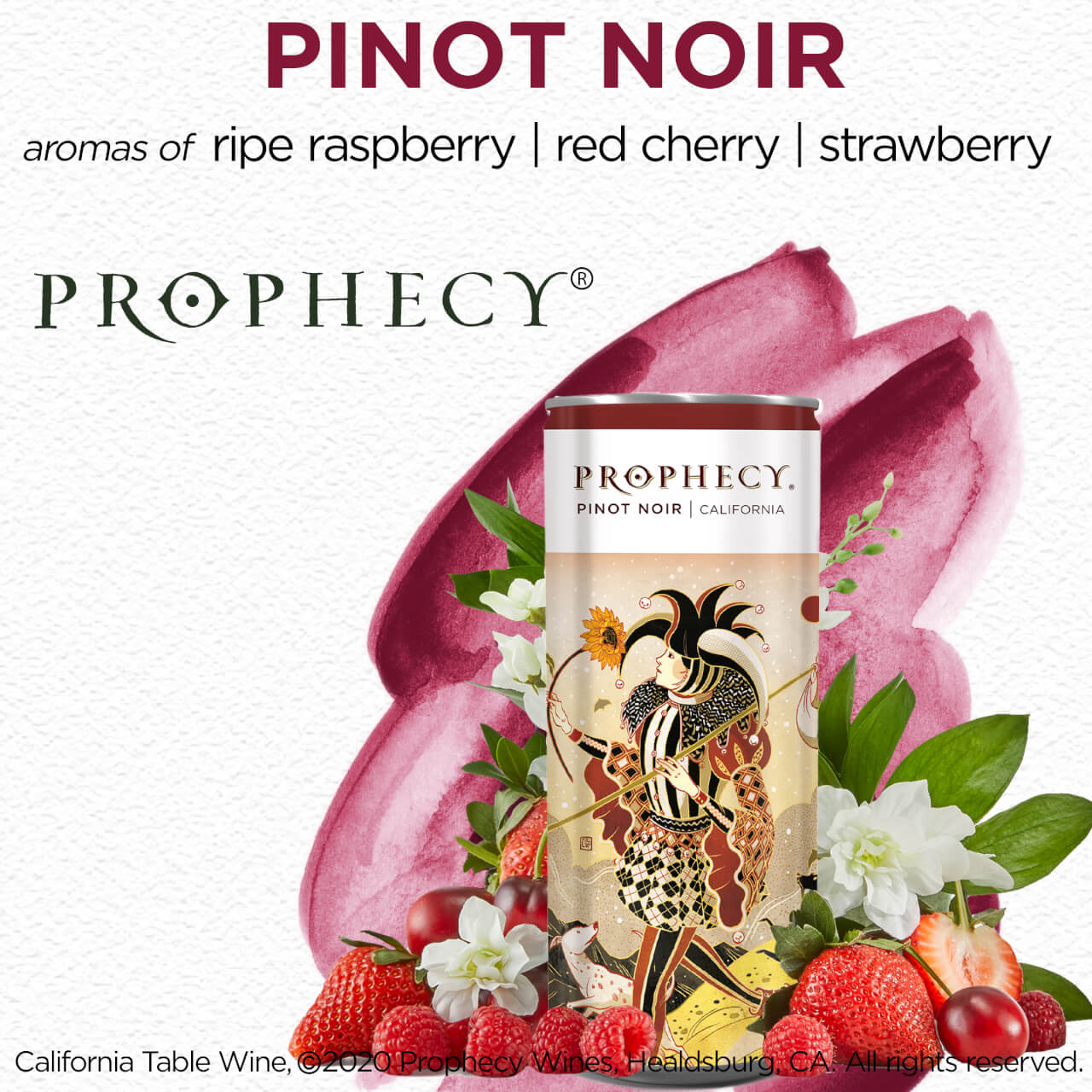 Prophecy Pinot Noir Red Wine 2 Pack Of 250ml Cans