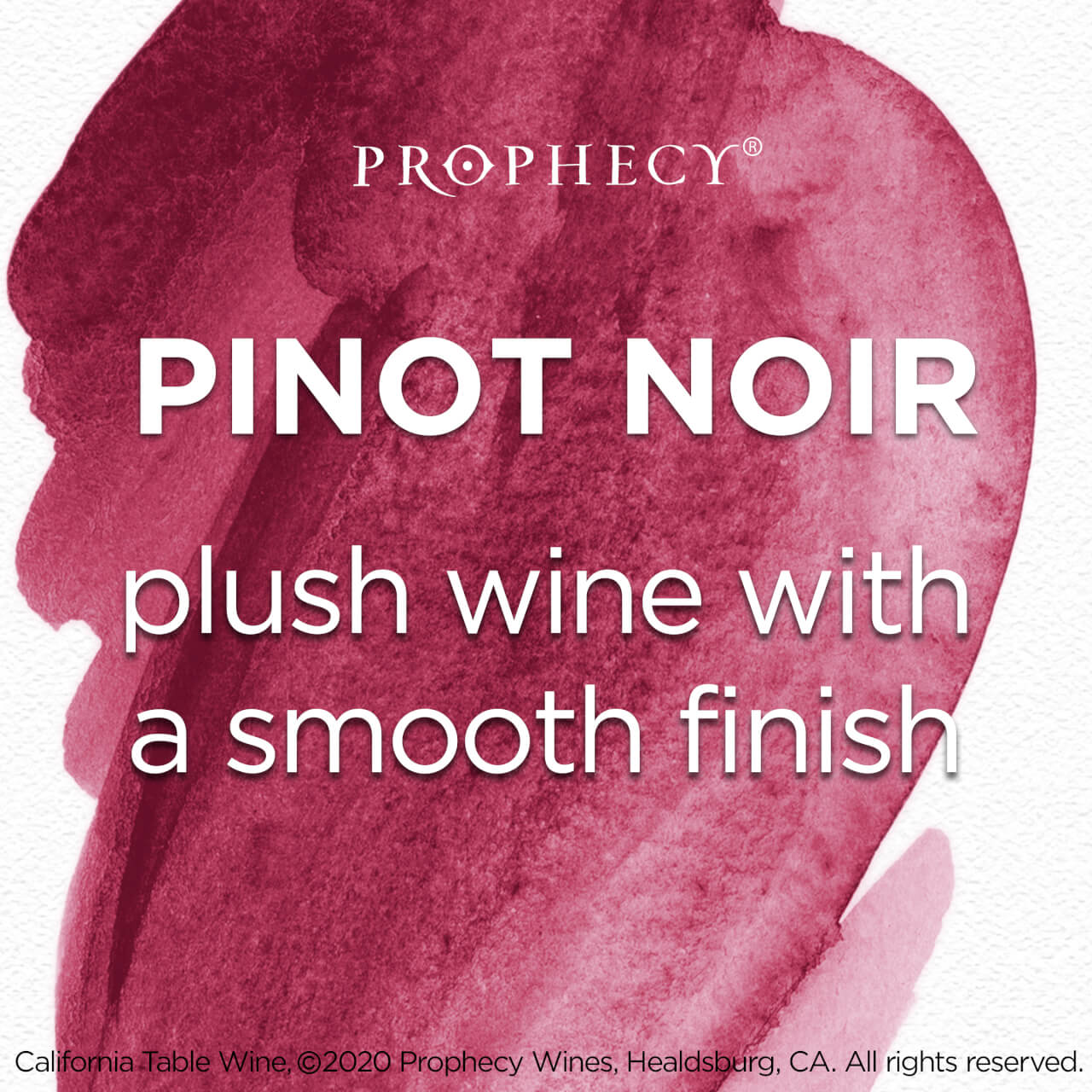 Prophecy Pinot Noir Red Wine 2 Pack Of 250ml Cans