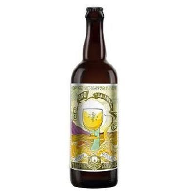 Jolly Pumpkin Oro De Calabaza Sour Biere