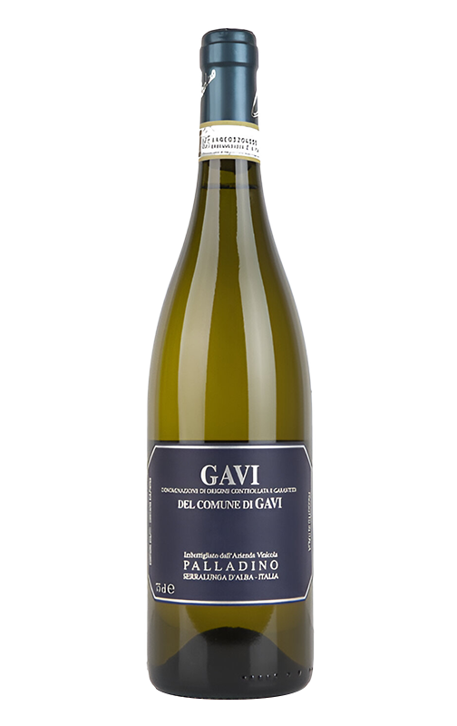 Palladino Gavi di Gavi, Piedmont
